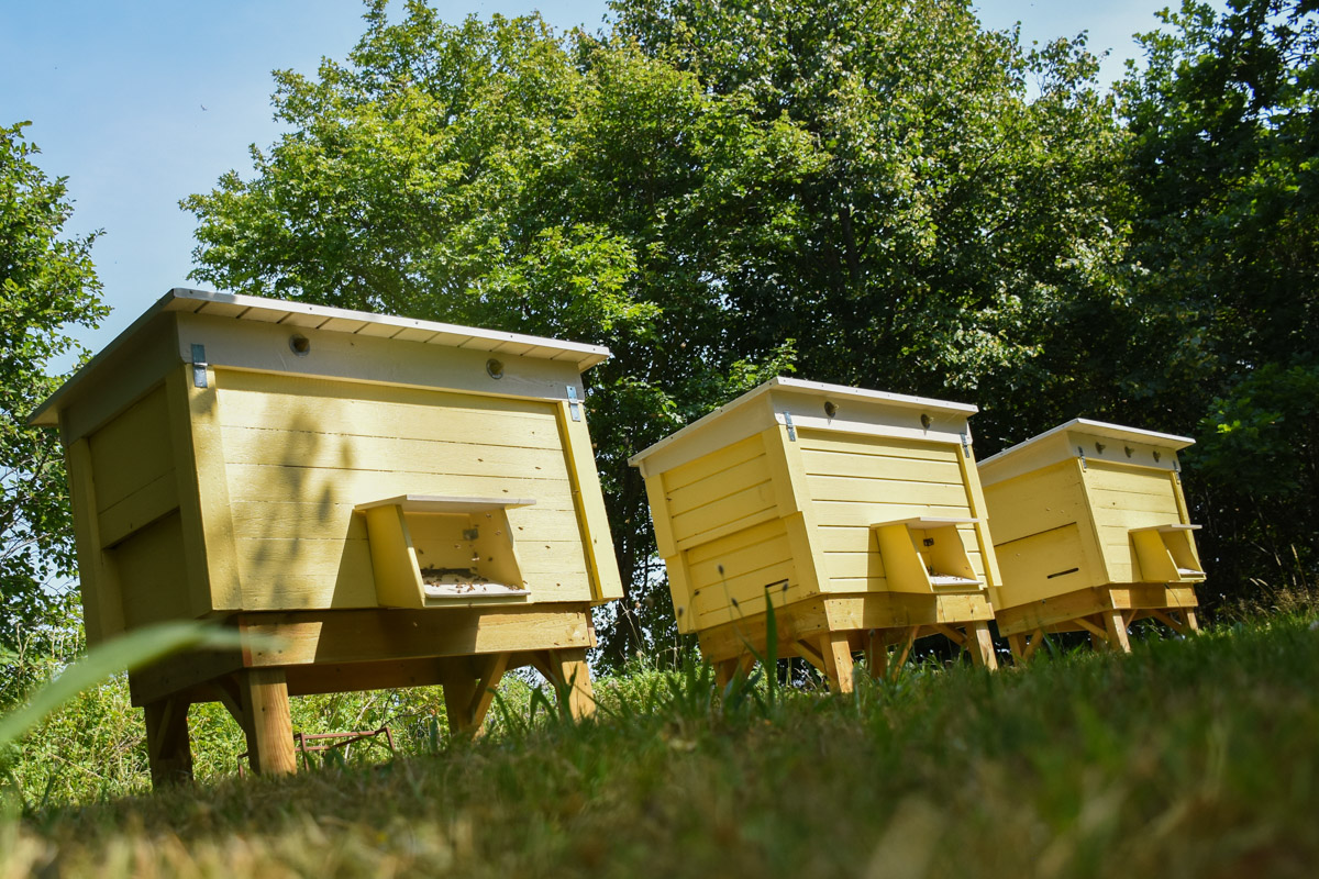 Tre gula bikupor på rad i en kyrkogårdspark