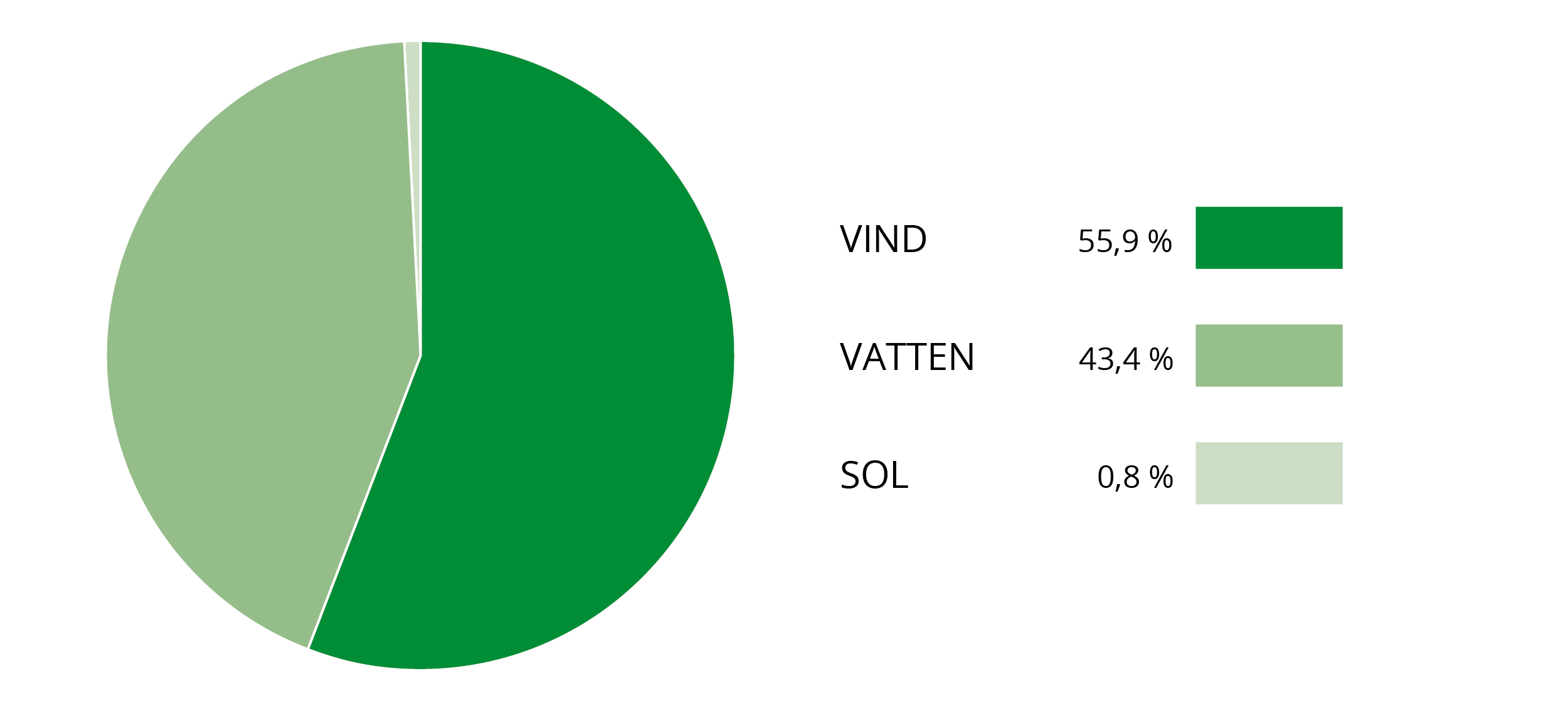 Cirkeldiagram som visar elens ursprung under 2024 enligt texten.