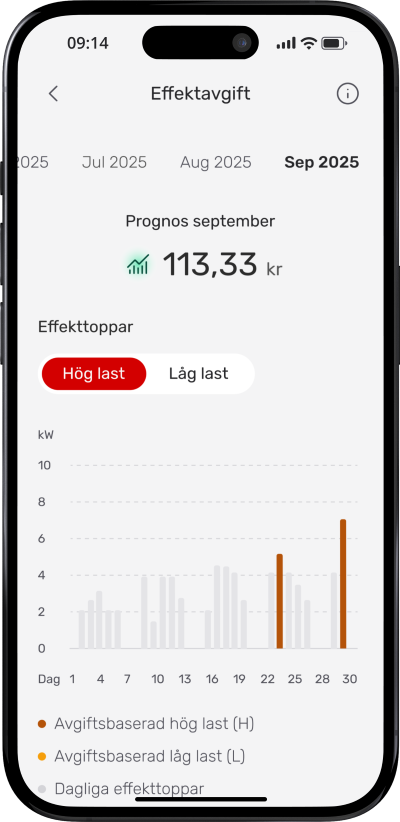 Skärmdump effektavgifter