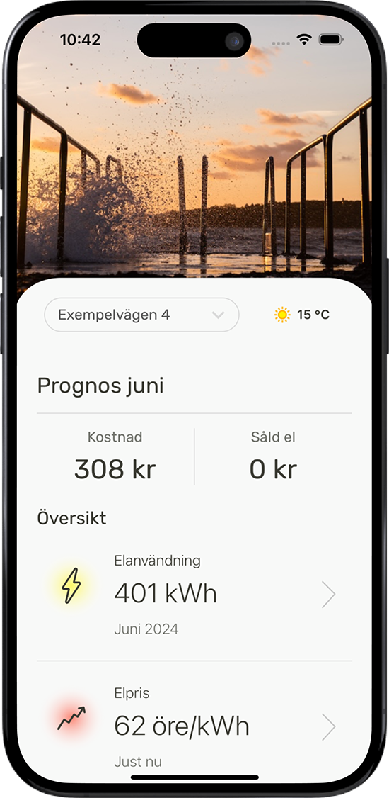 skärmdumpar från energiapp med diagram och tabeller